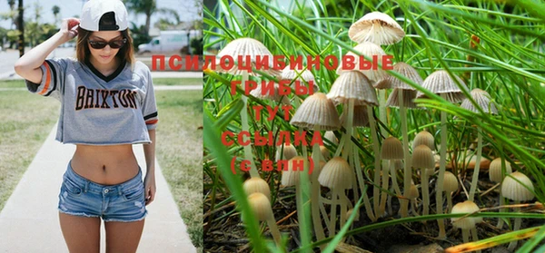 каннабис Кукмор