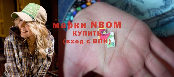 твердый Куйбышев
